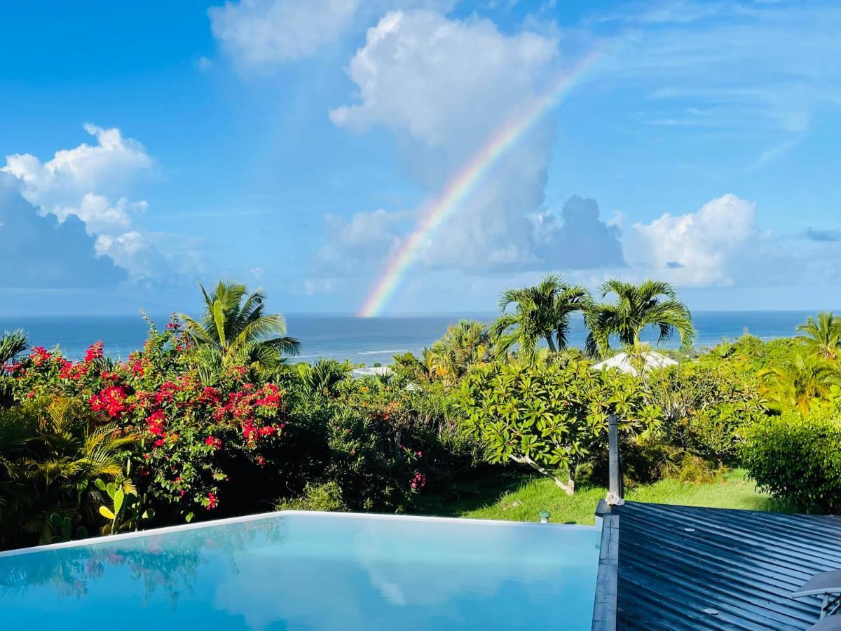 Libellule * Grand-Bourg (Marie Galante)