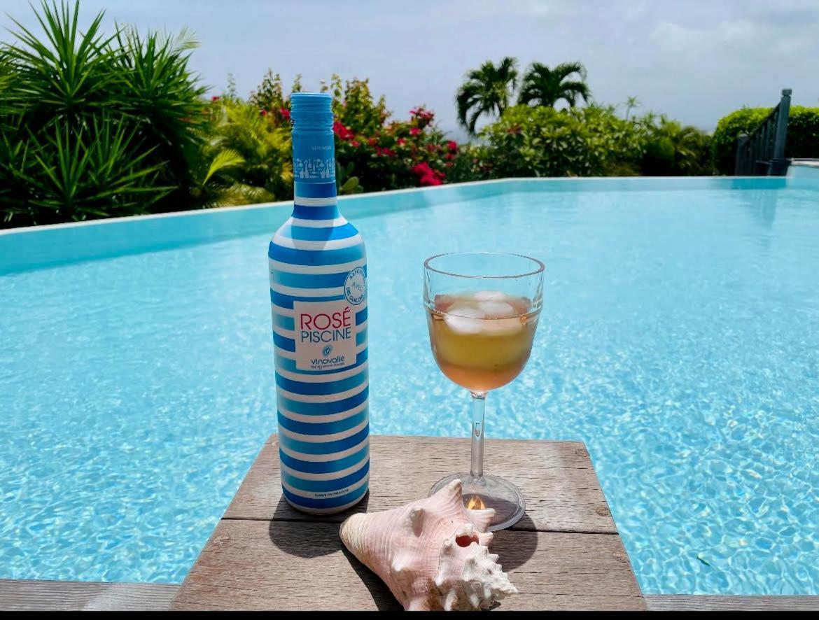 Libellule Villa Grand-Bourg (Marie Galante)
