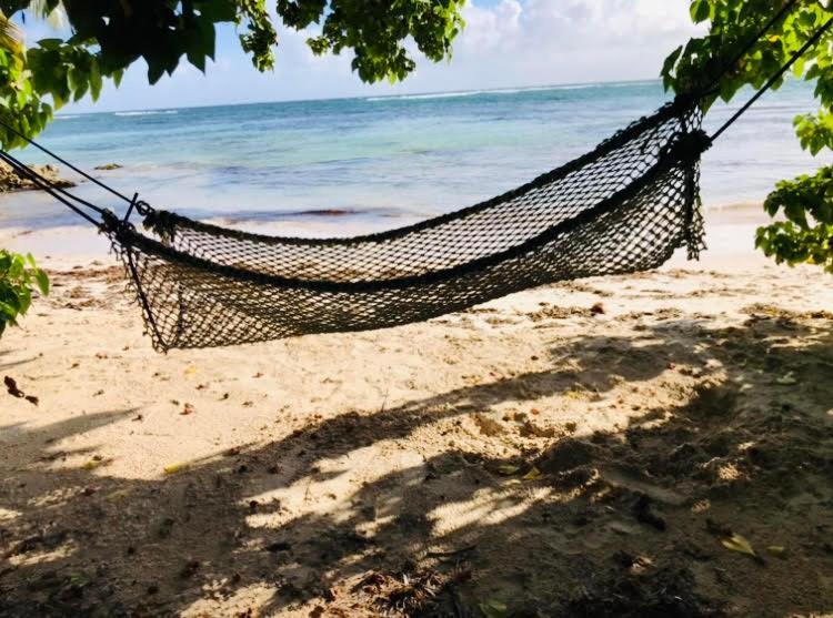 Libellule * Grand-Bourg (Marie Galante)