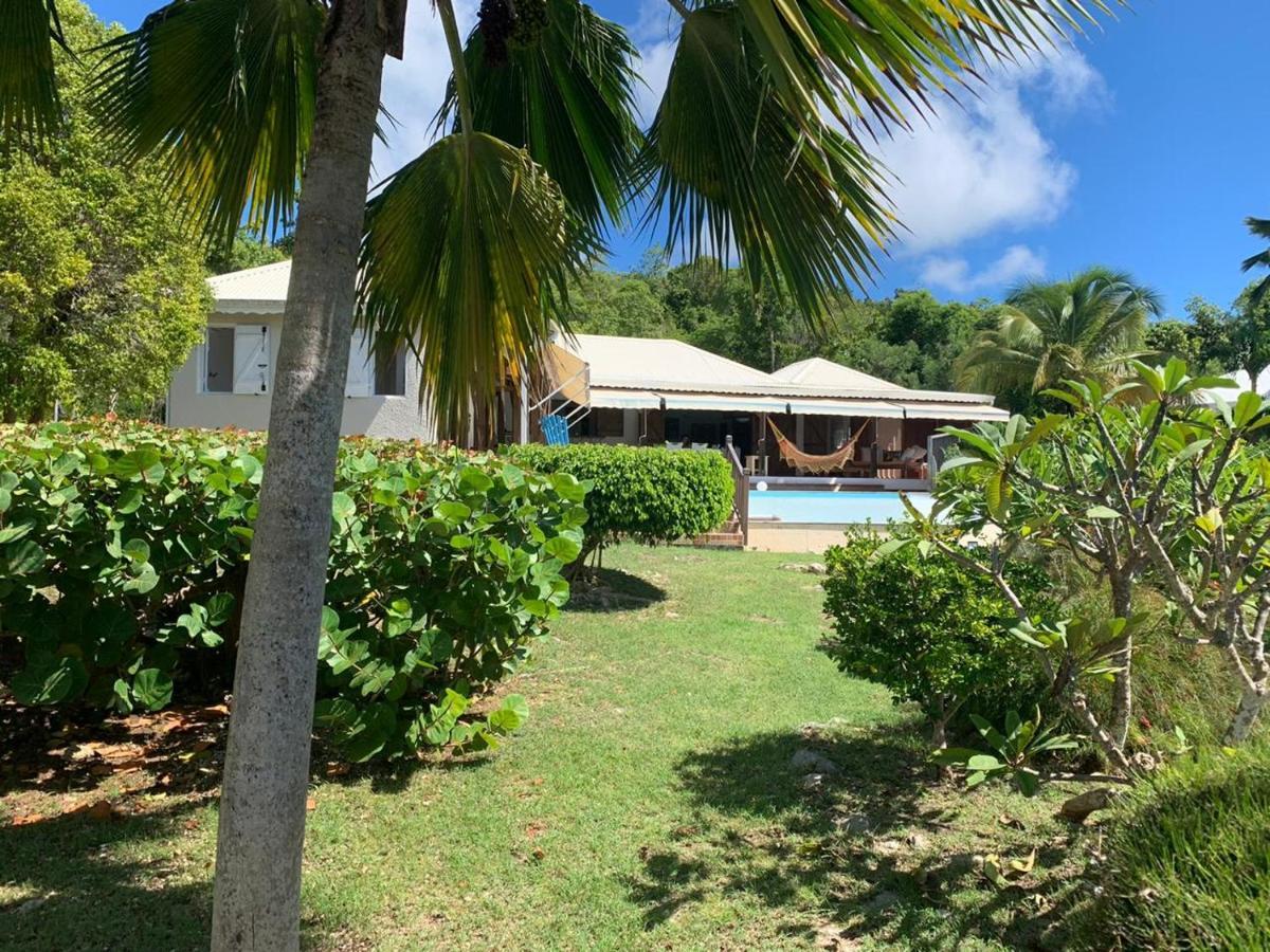 Libellule * Grand-Bourg (Marie Galante)