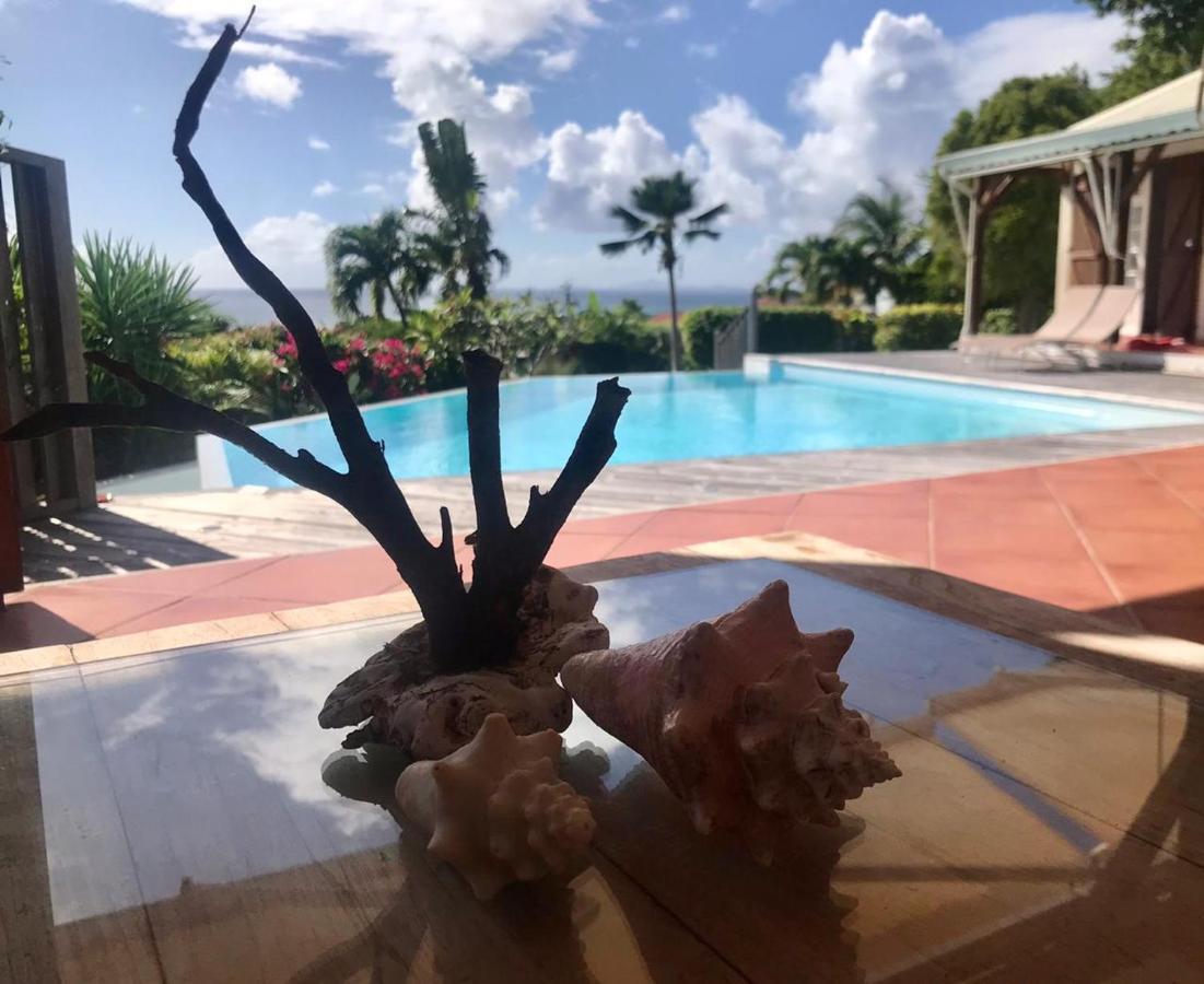Libellule Grand-Bourg (Marie Galante)